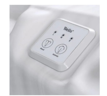 Спа бассейн Wellis Everest Life Premium