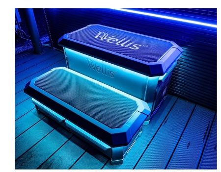 Спа бассейн Wellis Everest Life Premium